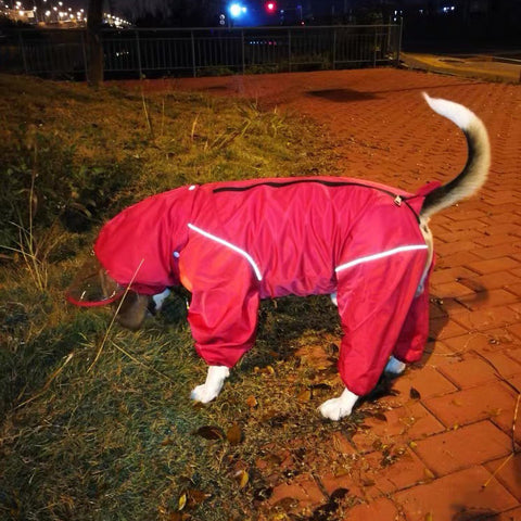 Waterproof Dog Raincoat